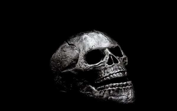 Передній вигляд людського черепа з ліпнини — стокове фото