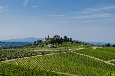 alan chianti Tuscan üzüm bağları