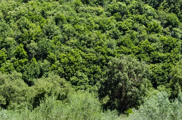 doku doğa