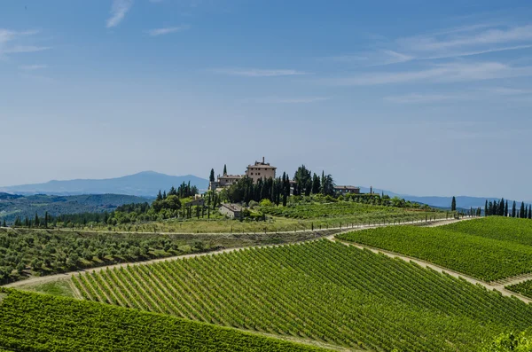 Área chianti vinhas toscanas — Fotografia de Stock