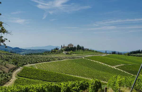 Chianti Tuscan üzüm bağları