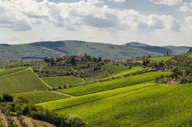 üzüm bağları bölgesinin kalbinde Chianti Toskana, İtalya