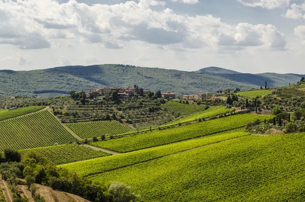 Vinhas na área de Chianti, na Toscana, Itália — Fotografia de Stock