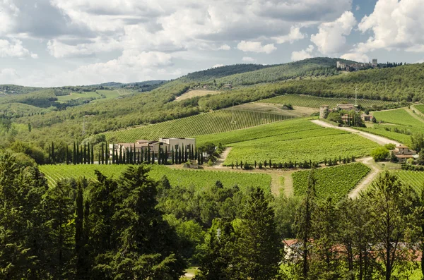 Vinhedos de Chianti na Toscana — Fotografia de Stock