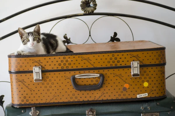 old suitcases retro style