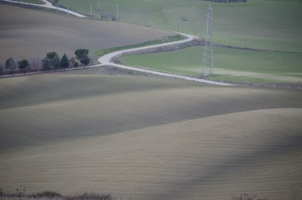 Old road nature — Stock Photo, Image