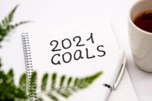 Växt, penna och anteckningsblock med 2021 mål inskrift på vit bakgrund, nyårskoncept — Stockfoto