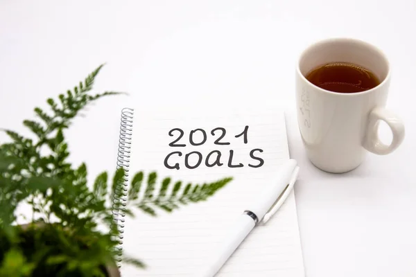 Plant, długopis i notatnik z 2021 bramek napis na białym tle, koncepcja nowego roku — Zdjęcie stockowe
