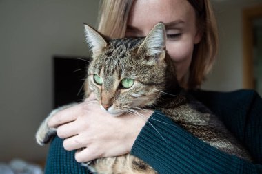 Sevimli tekir kediyi kollarında tutan, sarılıp öpen bir kadın. Evcil hayvanlar konsepti sever