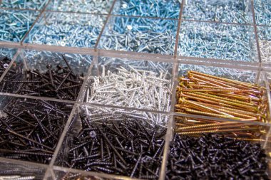 Sıralanmış bir yığın içinde çeşitli boyut ve renklerde paslanmaz çelik vidalar var.