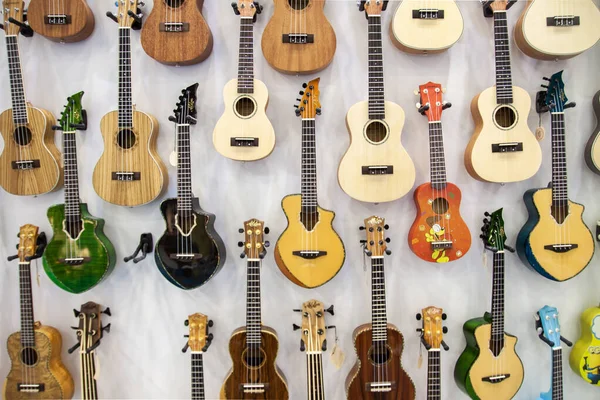 Müzikal dükkanının duvarında farklı türde akustik gitarlar, tasarım ve boyutlar asılı.