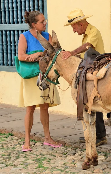 Trinidad, Cuba en mayo 3, 2014 - Esbozo de género con un burro . —  Fotos de Stock