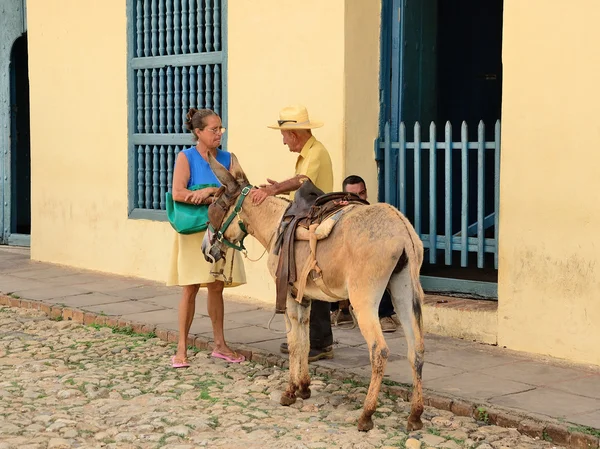 Trinidad, Cuba Boceto de género con un burro en Trinidad, Cuba en mayo 3, 2014 . —  Fotos de Stock