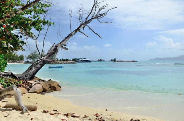 Boote in der Bucht. — Stockfoto