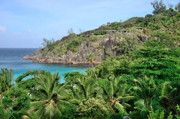 Felsküste mit Palmenwald auf den Seychellen. — Stockfoto