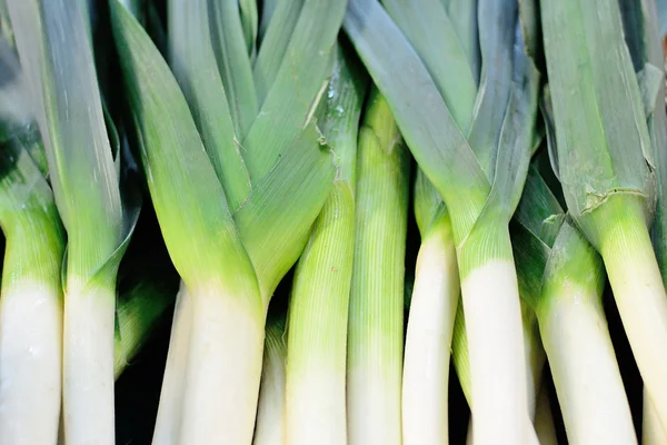 Purjolök på marknaden Stockbild