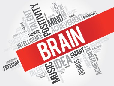 Beyin kelime bulutu
