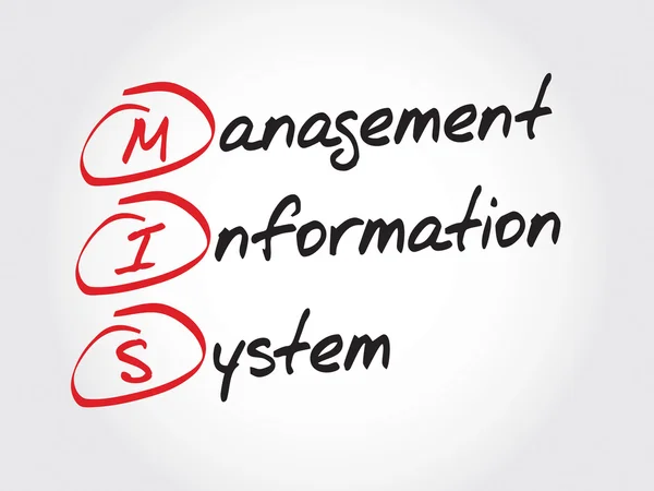 Mis manažerský informační systém — Stockový vektor