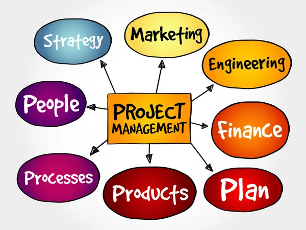 Mapa mental de gestión de proyectos — Archivo Imágenes Vectoriales