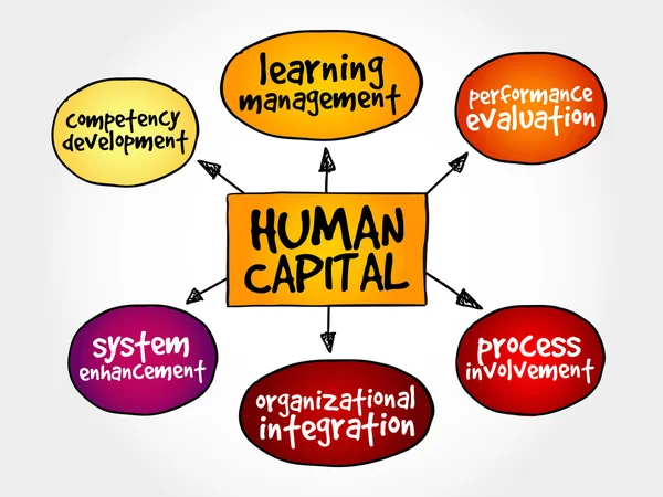Menselijk kapitaal mindmap — Stockvector