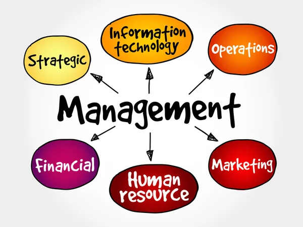 Gestione mappa mentale strategia aziendale — Vettoriale Stock