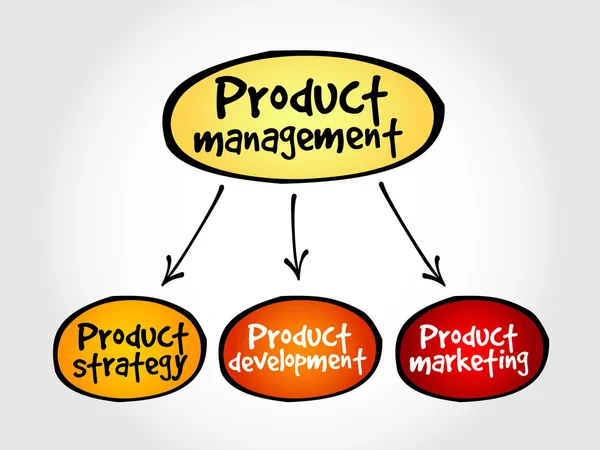 Peta pikiran manajemen produk - Stok Vektor