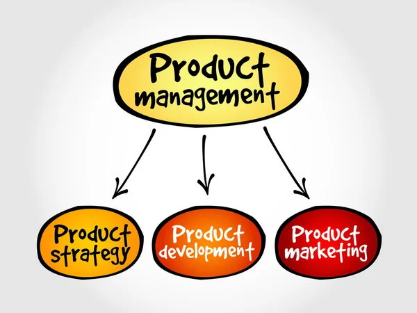 Ürün yönetimi zihin haritası — Stok Vektör