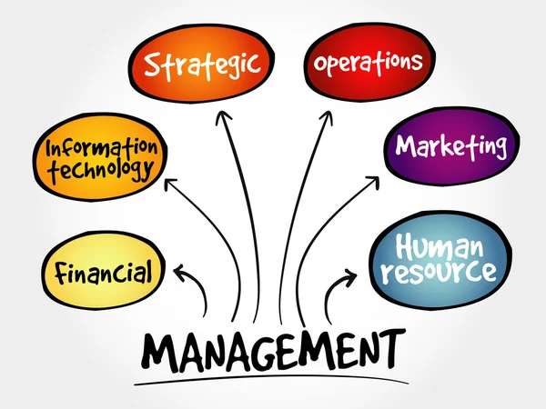 Management Mind Map Geschäftsstrategie — Stockvektor