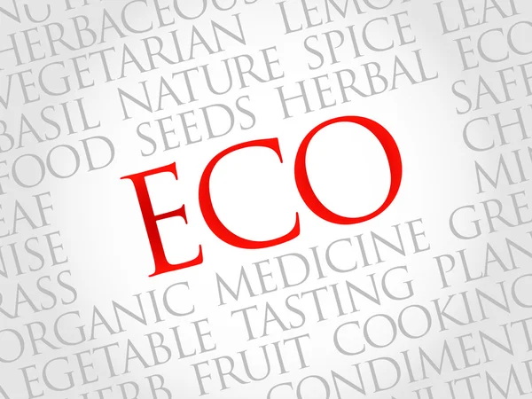 Eco word cloud — Stockvector