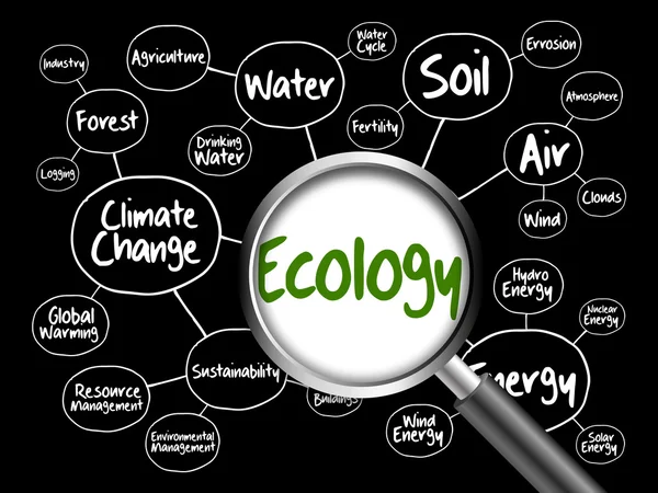 Ecology mind map flowchart concept — Stock Photo, Image