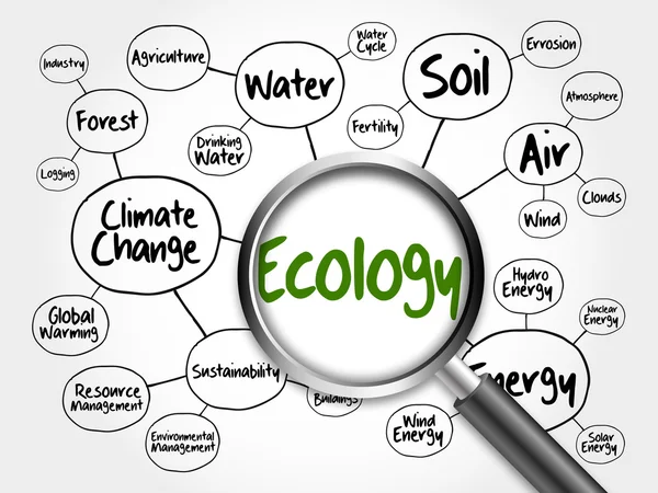 Ecologie geest kaart stroomdiagram concept — Stockfoto
