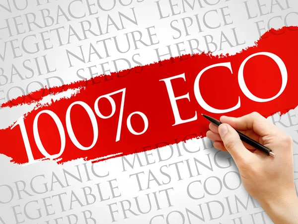 100% Eco word cloud — Stockfoto