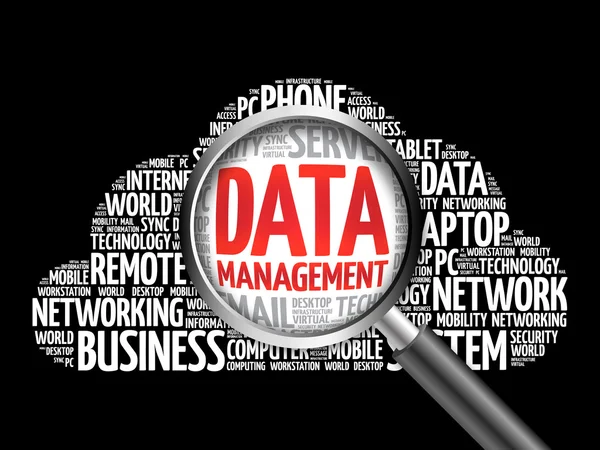 Data Management word cloud — Stock Photo, Image