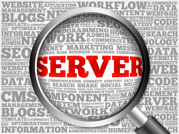 Server-Word-Wolke mit Lupe — Stockfoto