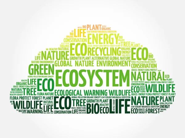Nuage de mots d'écosystème — Image vectorielle