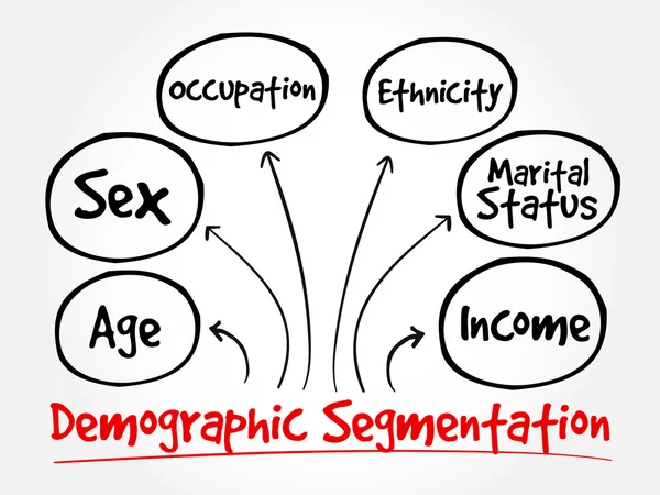 Demografisk segmentering tankekarta — Stock vektor