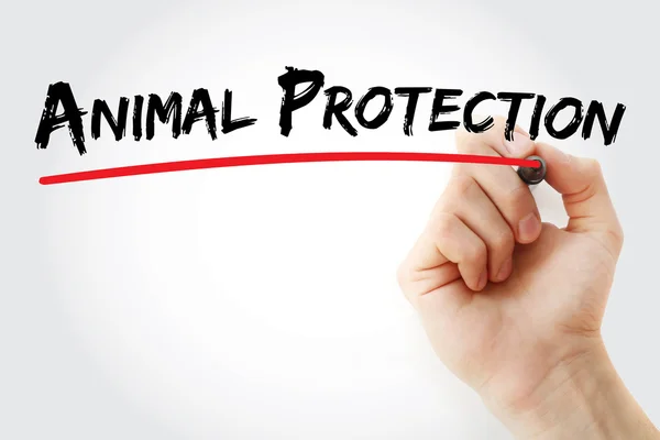 Escrita à mão Protecção dos animais — Fotografia de Stock