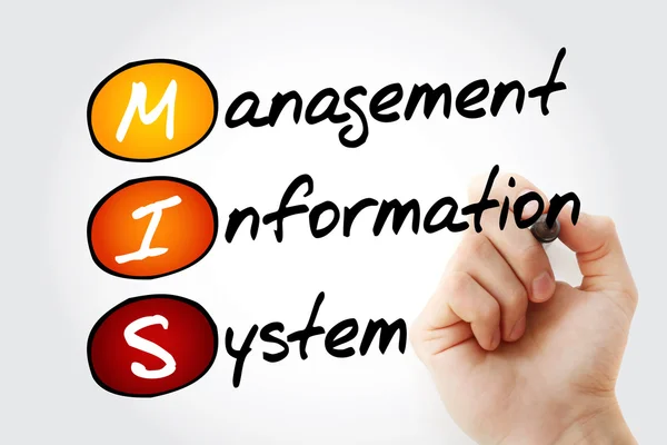Mis 管理情報システム — ストック写真