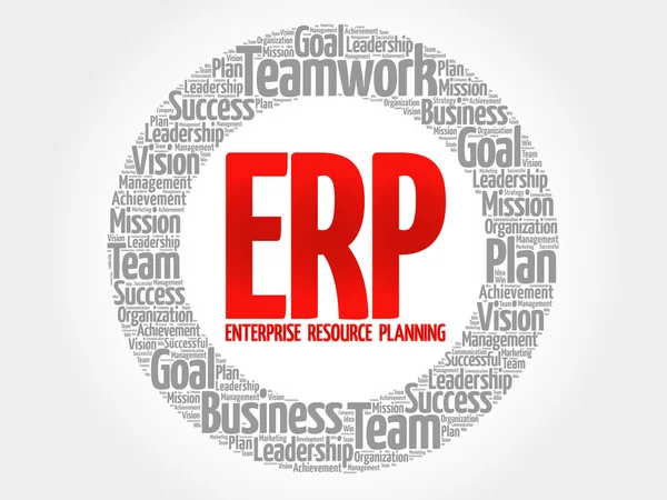 Enterprise Resource Planning kruh — Stockový vektor