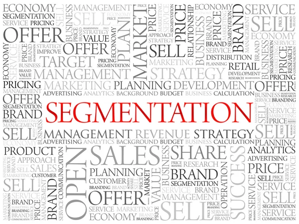 Segmentation word cloud — Stock Vector