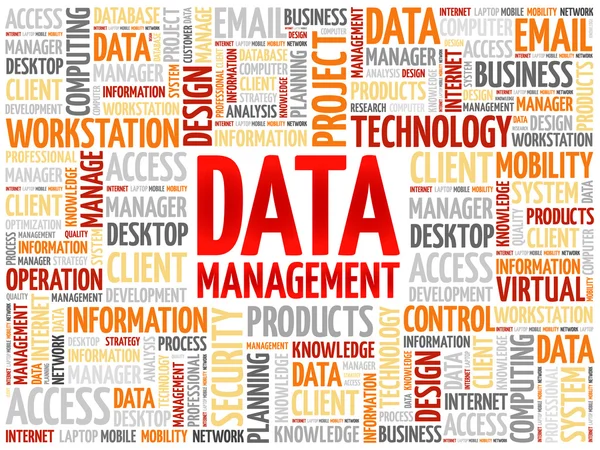 Datenmanagement Word Cloud — Stockvektor