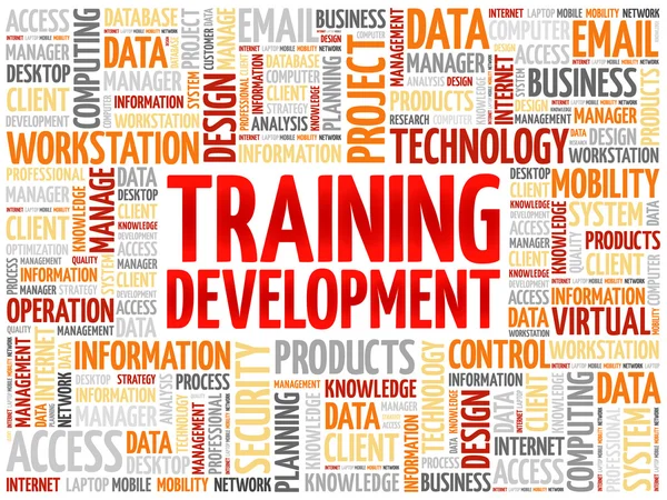Training development word cloud — Stock Vector