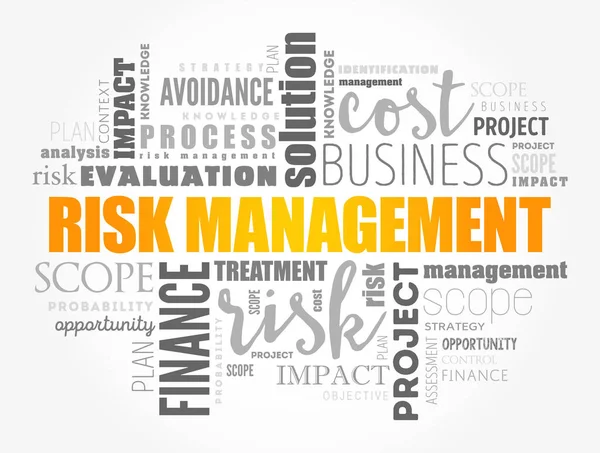 Risikomanagement Word Cloud Collage Geschäftskonzept Hintergrund — Stockvektor