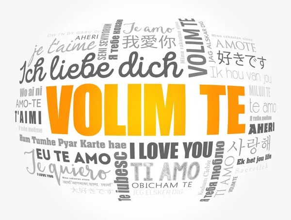 Volim Love You Croatian Verschillende Talen Van Wereld Word Cloud — Stockvector