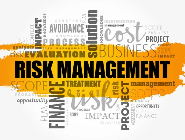 Risk Management Word Cloud Collage Business Concept Background — Stock Vector