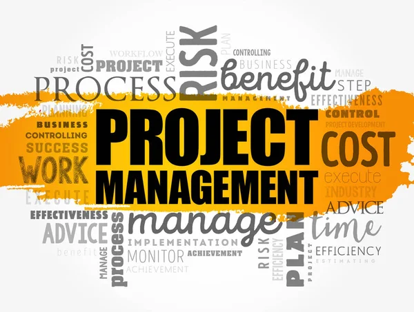 Project Management Woord Cloud Collage Business Concept Achtergrond — Stockvector