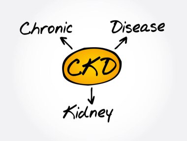 CKD - Kronik Böbrek Hastalığı kısaltması, tıbbi konsept geçmişi