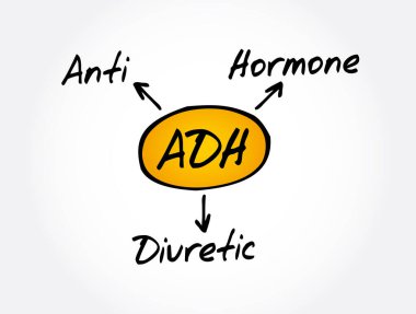 ADH - Antidiuretic Hormone acronym, concept background clipart