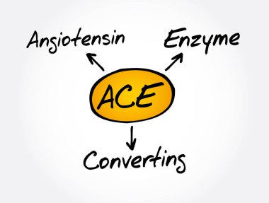 ACE - Angiotensin Converting Enzyme acronym, concept background clipart