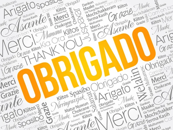 奥布里加多 葡萄牙语中的谢谢你 不同语言的Word Cloud — 图库矢量图片